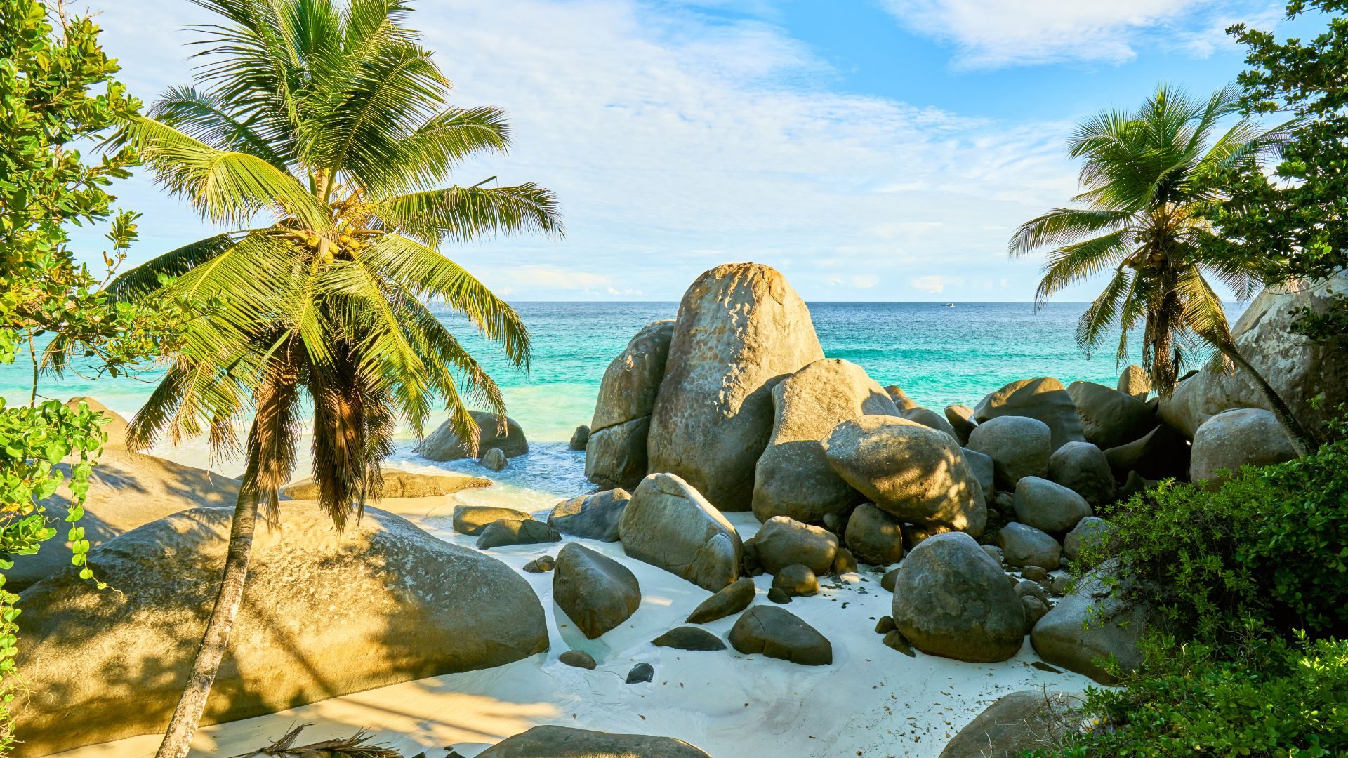 Seychelles beach